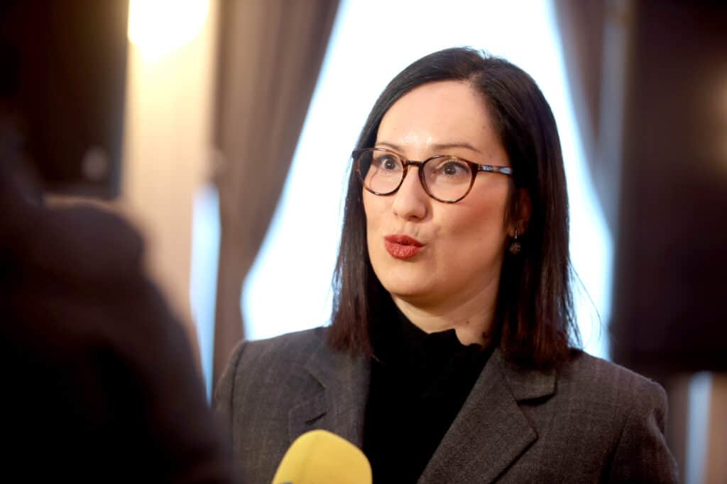 Ključni dezinformacijski narativi na izborima bit će teme migranata i stranih radnika 5